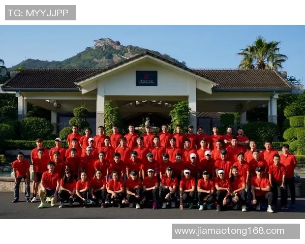 南京网球队的整体表现分析与战术优势探讨